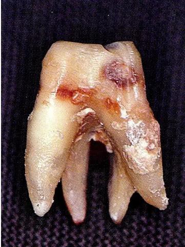 360截圖20170120170210929.jpg 360截圖20170120170210929.jpg