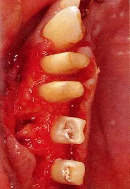 360截圖20170120170936848.jpg 360截圖20170120170936848.jpg