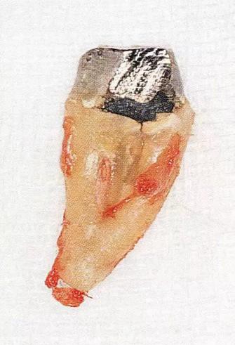 360截圖20170120171017421.jpg 360截圖20170120171017421.jpg