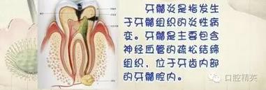 360截圖20170122101310831.jpg 360截圖20170122101310831.jpg