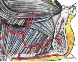 牙醫(yī)引以為戒——日本植牙手術(shù)死亡事件 牙醫(yī)引以為戒——日本植牙手術(shù)死亡事件