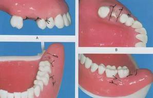 360截圖20170125132728533.jpg 360截圖20170125132728533.jpg