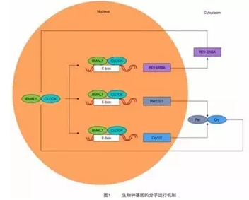 T)C[_O(JK(75RD)@$L$~LVU.png T)C[_O(JK(75RD)@$L$~LVU.png