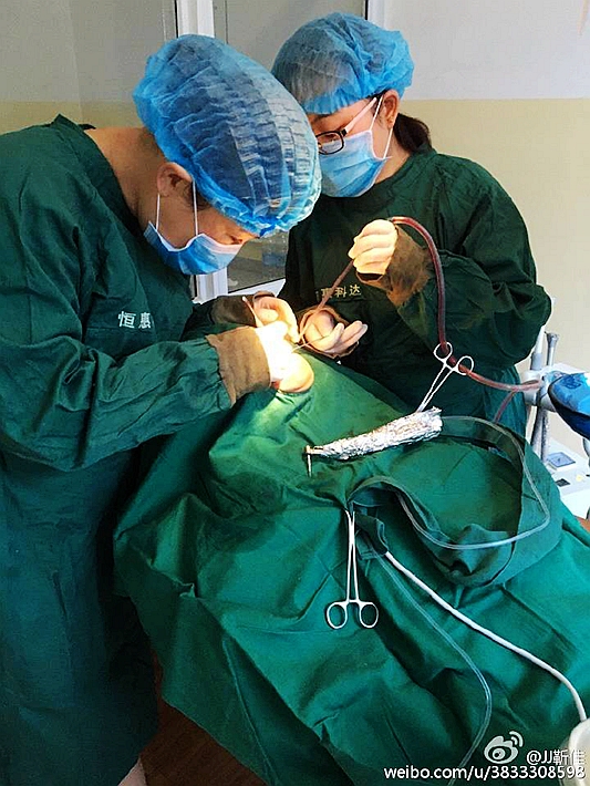 e47ba5b6jw1f6hr8ookh2j20ku0rsn2e.jpg e47ba5b6jw1f6hr8ookh2j20ku0rsn2e.jpg