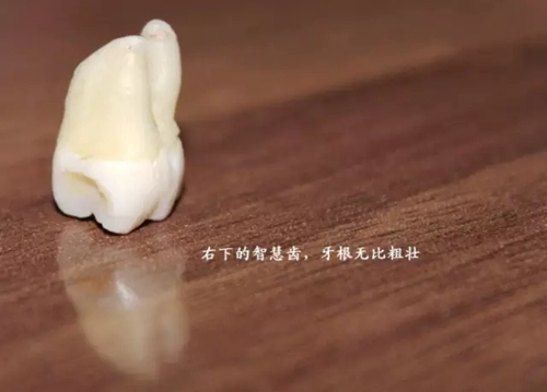 1.webp (1).jpg 1.webp (1).jpg