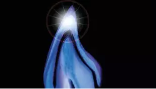 賀利氏 Opal 歐鉑樹脂 賀利氏 Opal 歐鉑樹脂