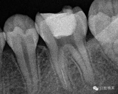 3.webp.jpg 3.webp.jpg