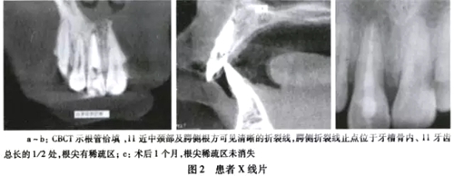 3.webp.jpg 3.webp.jpg