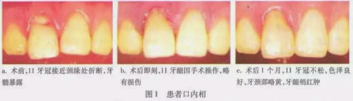 2.webp.jpg 2.webp.jpg