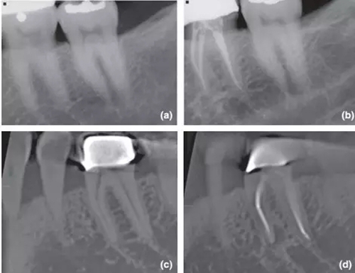 3.webp.jpg 3.webp.jpg