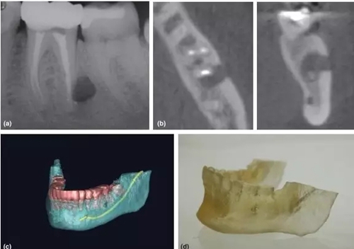 4.webp.jpg 4.webp.jpg