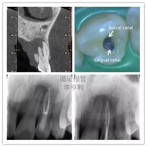 6.webp.jpg 6.webp.jpg