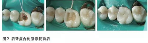 2.webp.jpg 2.webp.jpg