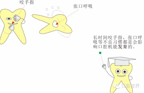 【愛牙科普知識(shí)300問】 “什么是融合牙、愈合牙和雙生牙？”