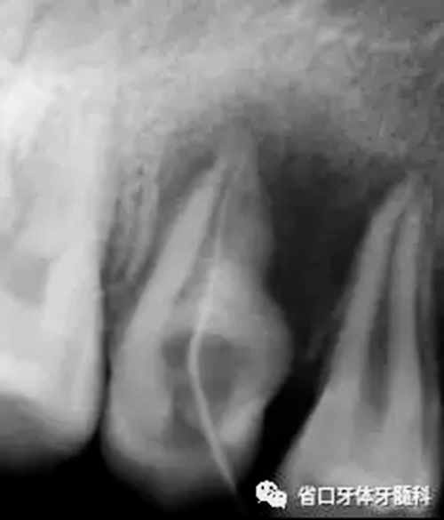 7.webp.jpg 7.webp.jpg