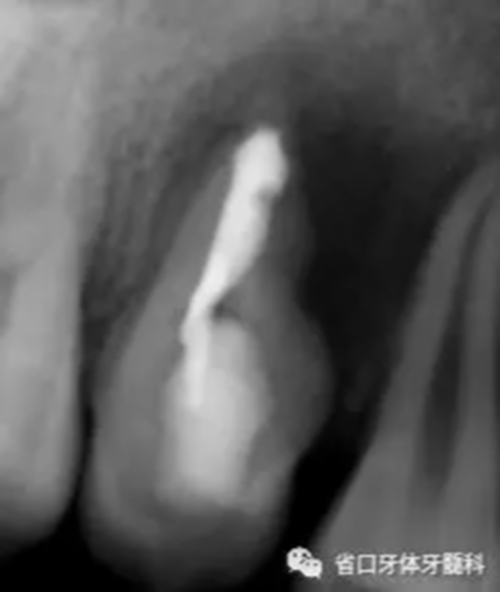 8.webp.jpg 8.webp.jpg