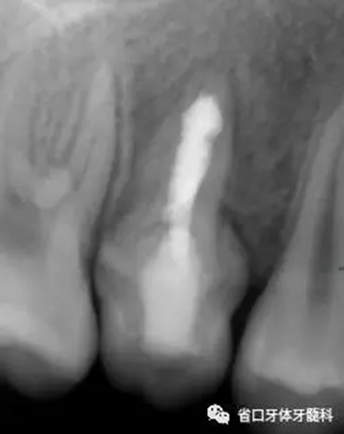 9.webp.jpg 9.webp.jpg