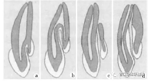 10.webp.jpg 10.webp.jpg