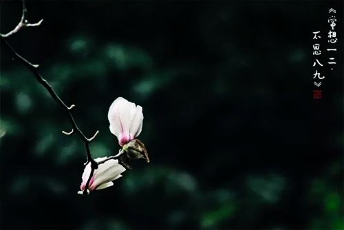 3.webp.jpg 3.webp.jpg