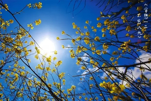 9.webp.jpg 9.webp.jpg