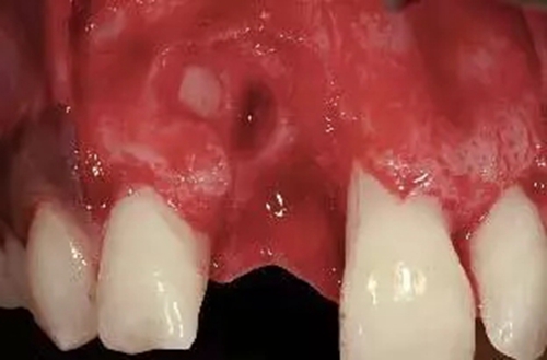 4.webp.jpg 4.webp.jpg