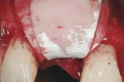 8.webp.jpg 8.webp.jpg