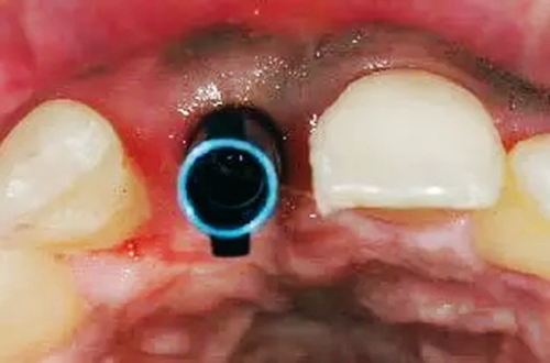 10.webp.jpg 10.webp.jpg