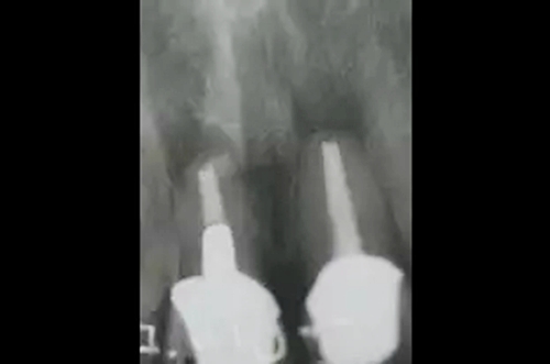 15.webp.jpg 15.webp.jpg