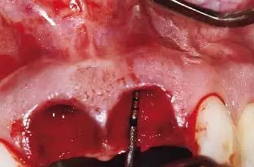 18.webp.jpg 18.webp.jpg