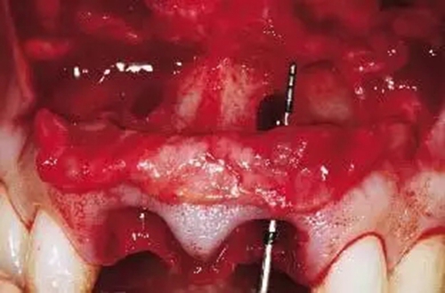 19.webp.jpg 19.webp.jpg