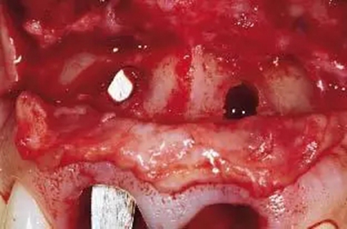 20.webp.jpg 20.webp.jpg