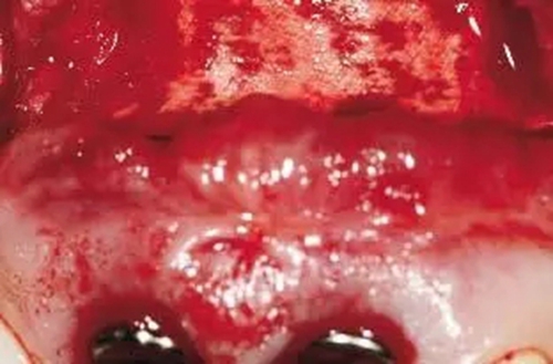 23.webp.jpg 23.webp.jpg