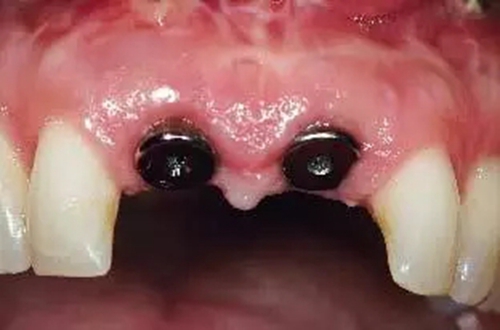 24.webp.jpg 24.webp.jpg