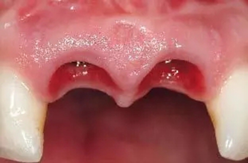 25.webp.jpg 25.webp.jpg