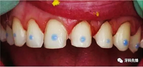 8.webp.jpg 8.webp.jpg