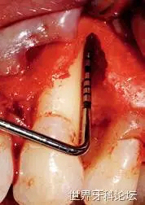 2.webp.jpg 2.webp.jpg