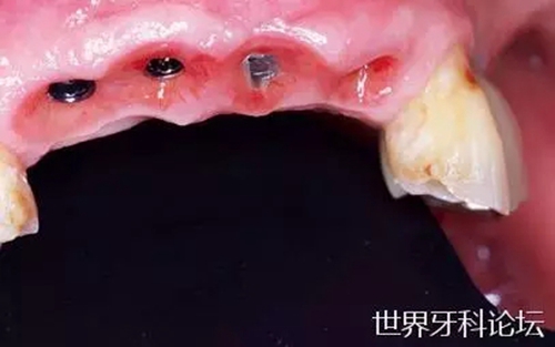 21.webp.jpg 21.webp.jpg