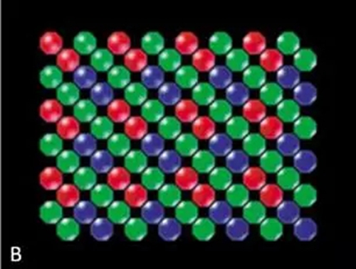 2.webp (1).jpg 2.webp (1).jpg