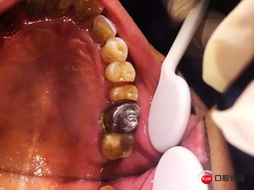 1.webp.jpg 1.webp.jpg