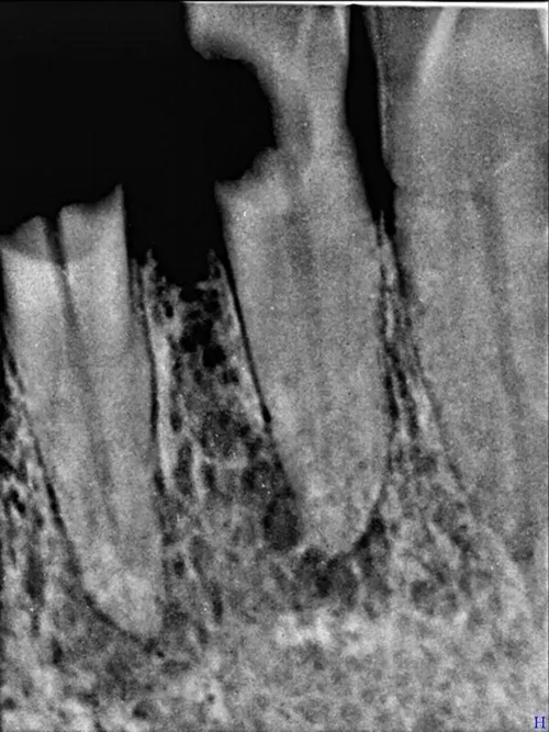 3.webp.jpg 3.webp.jpg