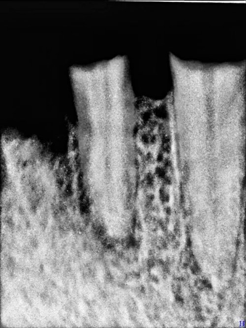 4.webp.jpg 4.webp.jpg