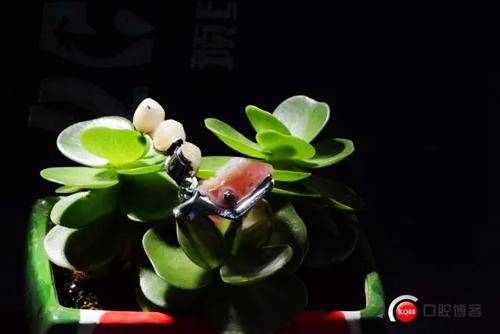 9.webp.jpg 9.webp.jpg