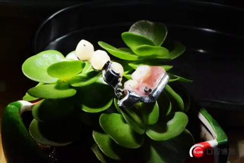 12.webp.jpg 12.webp.jpg