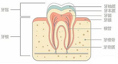 醫(yī)生方案里的鄰面去釉，究竟是什么？