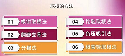 拔牙斷根的去與留？