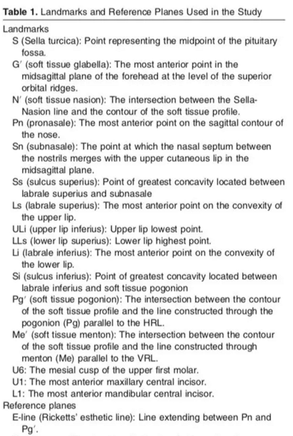 上頜后牙 上頜后牙