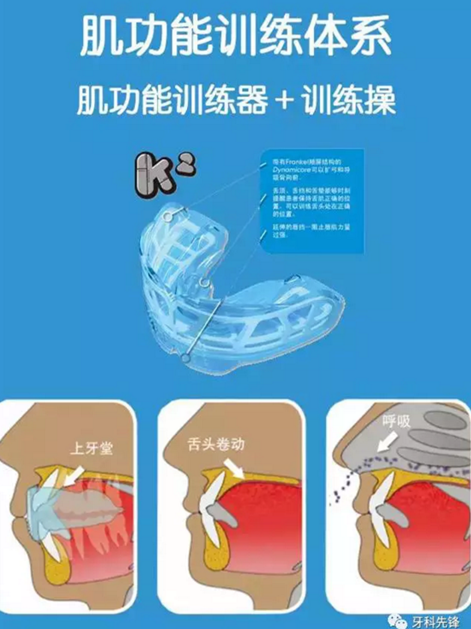 0~6歲寶寶口腔知識干貨集錦 0~6歲寶寶口腔知識干貨集錦