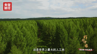 小崔的曝光讓人震驚？然而今天，這些人才是值得去曝的！