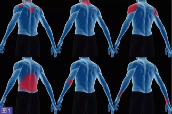 正確運(yùn)用人體工程學(xué)避免職業(yè)損傷 正確運(yùn)用人體工程學(xué)避免職業(yè)損傷