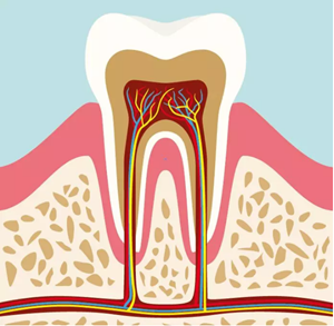 貼面?zhèn)溲乐嗌伲? alt=